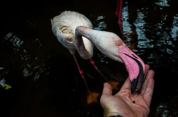 Langkawi Wildlife Park